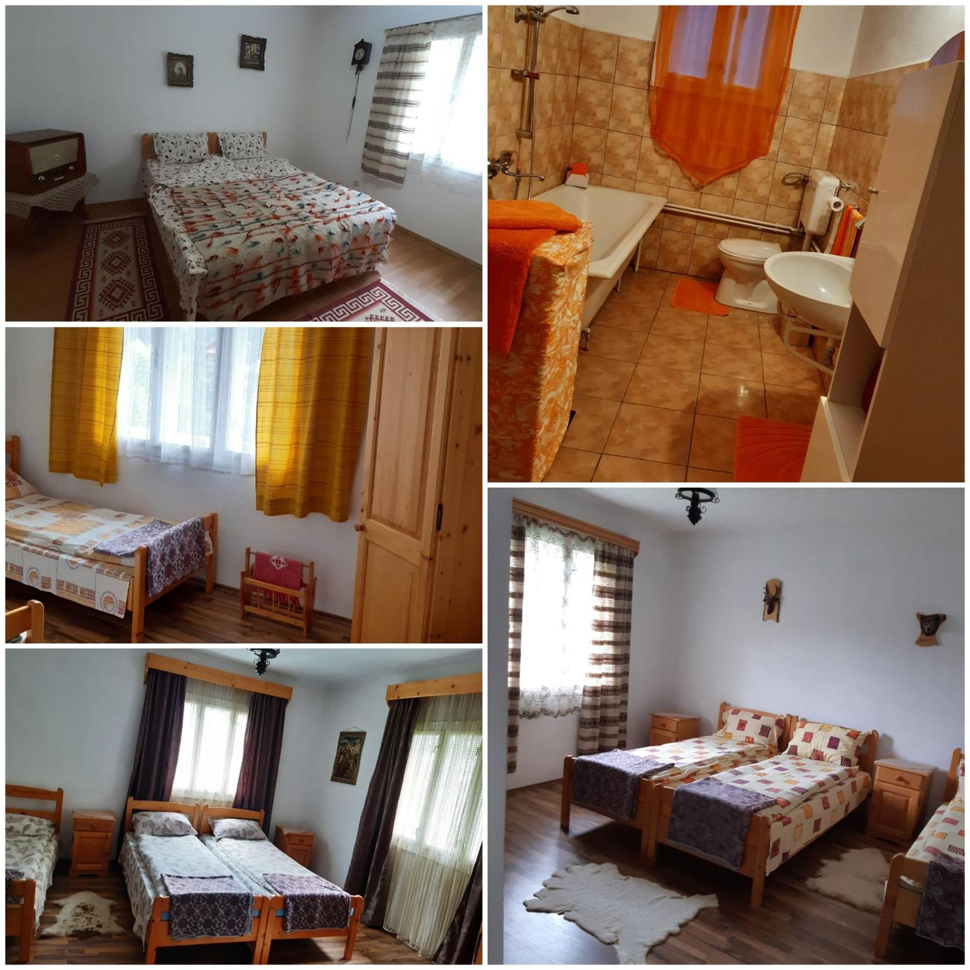 Hotel Casa De Vacanta Joldes à Gîrda de Sus Extérieur photo